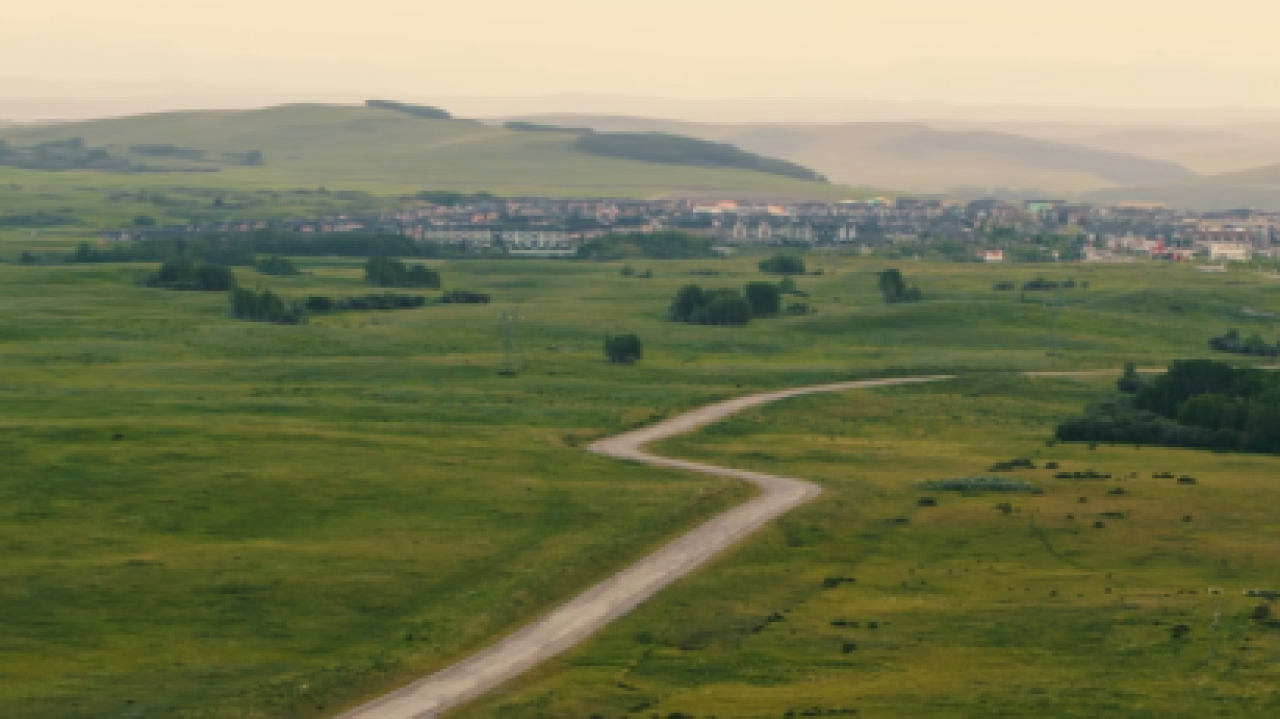 Lifestyle Loop Landscape